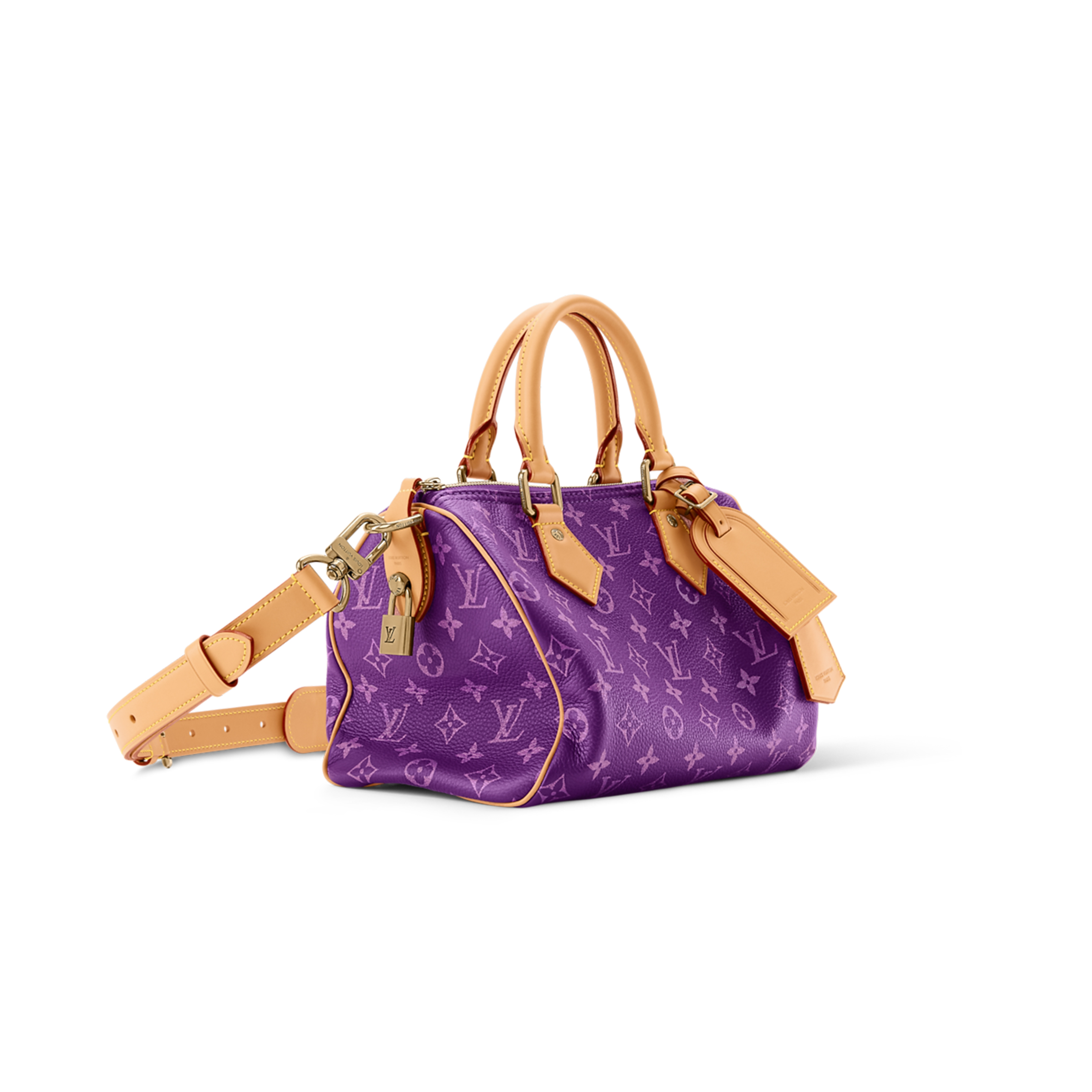 LOUIS VUITTON SPEEDY P9 BANDOULIÈRE 25 M28383 (25*15*15cm)